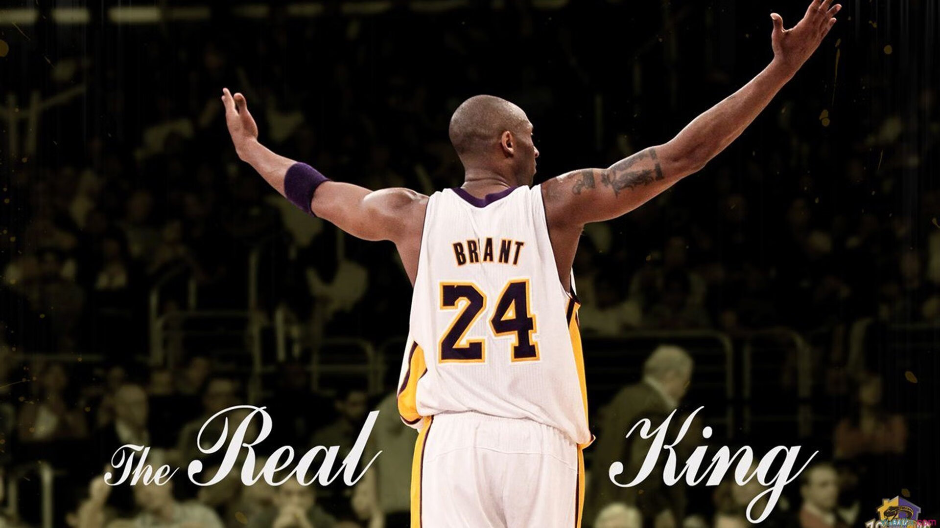 Aster目标直指世界赛冠军